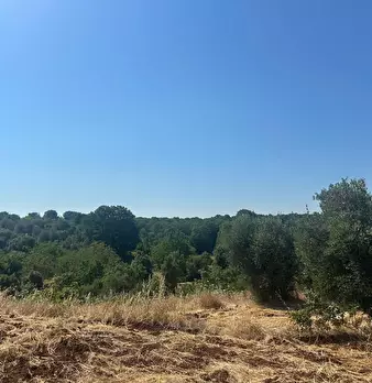 Foto annuncio 25
