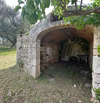 Foto annuncio 17