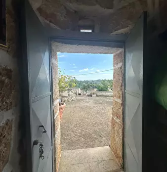 Foto annuncio 13