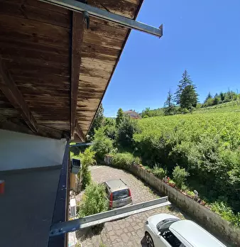 Foto annuncio 51