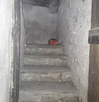 Foto annuncio 7