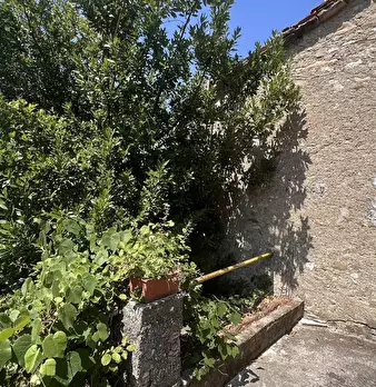 Foto annuncio 5