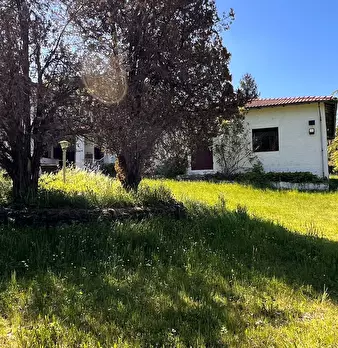 Foto annuncio 55
