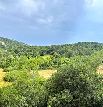 Foto annuncio 52