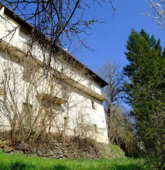 Foto annuncio 3