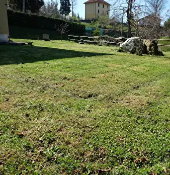 Foto annuncio 11