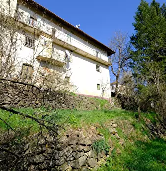 Foto annuncio 41