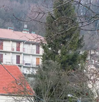Foto annuncio 3