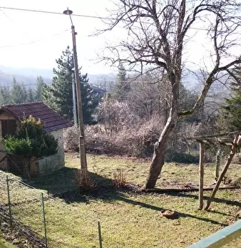 Foto annuncio 8