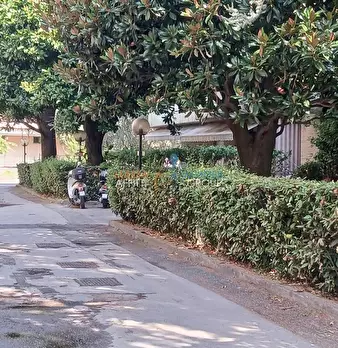 Foto annuncio 32