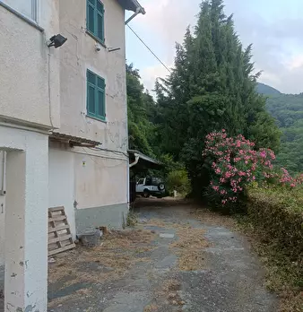 Foto annuncio 35