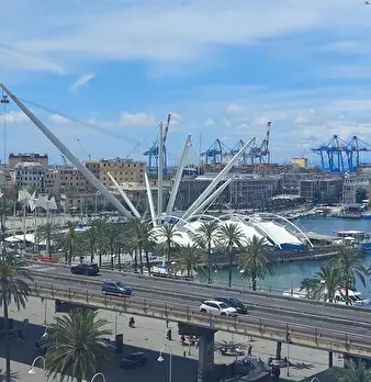 Foto annuncio 30