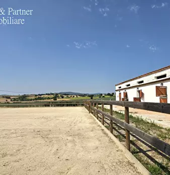 Foto annuncio 68