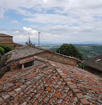 Foto annuncio 21
