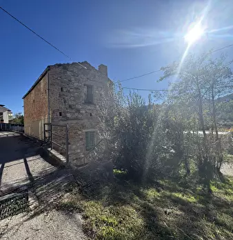 Foto annuncio 37
