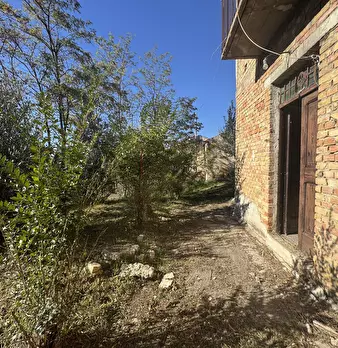 Foto annuncio 36