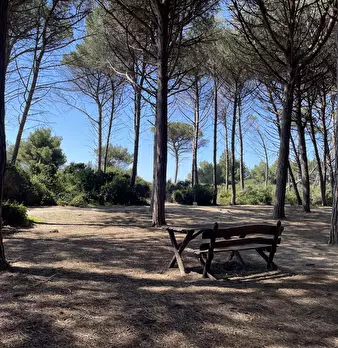 Foto annuncio 19
