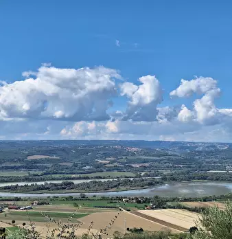 Foto annuncio 67