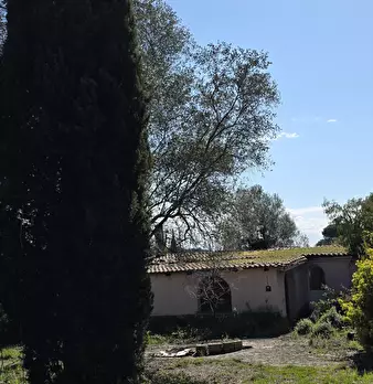 Foto annuncio 3
