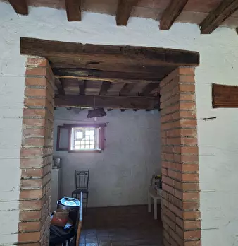 Foto annuncio 11