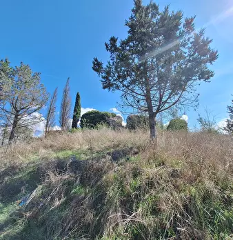 Foto annuncio 75