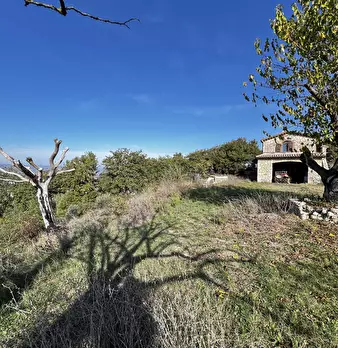 Foto annuncio 81