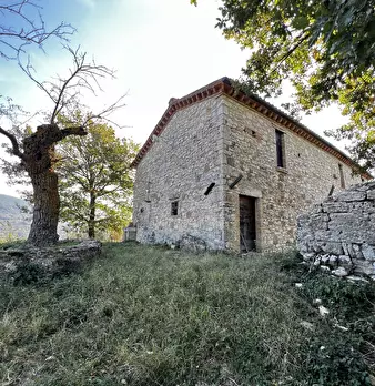 Foto annuncio 36