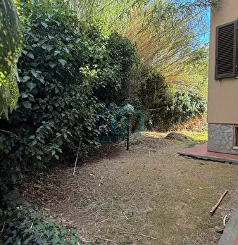 Foto annuncio 24