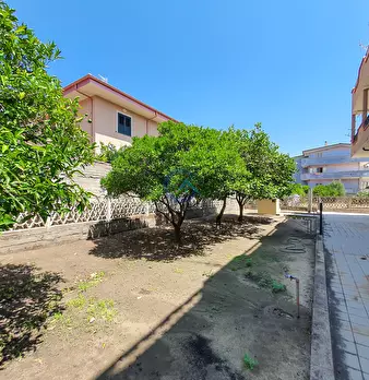 Foto annuncio 9
