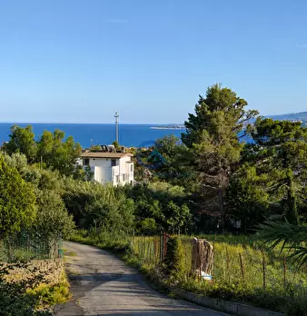 Foto annuncio 1