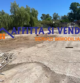Foto annuncio 10