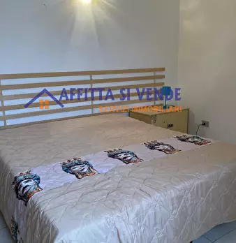 Foto annuncio 7