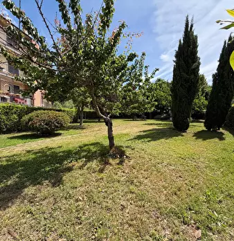 Foto annuncio 27