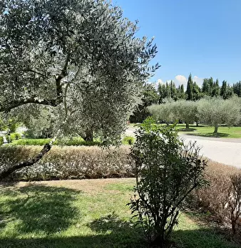 Foto annuncio 4