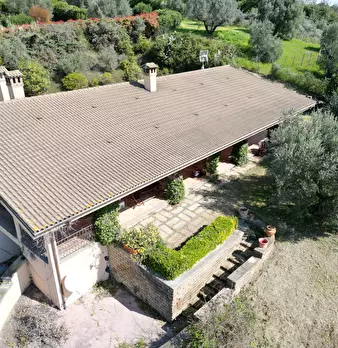 Foto annuncio 2