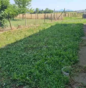 Foto annuncio 40