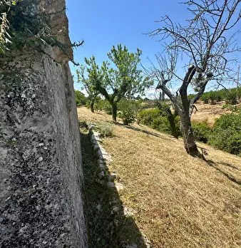 Foto annuncio 19