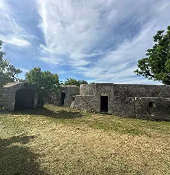 Foto annuncio 1