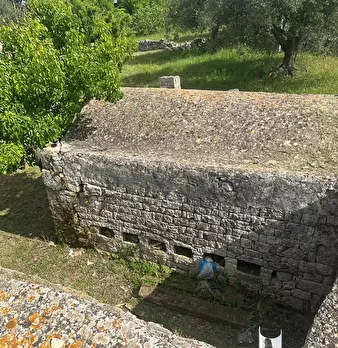 Foto annuncio 27