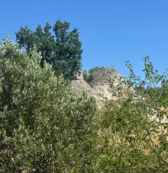 Foto annuncio 17