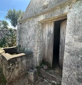 Foto annuncio 8