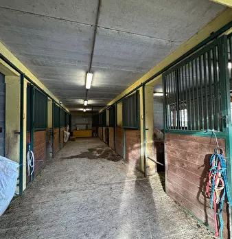 Foto annuncio 46