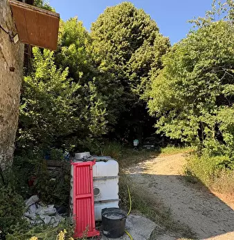 Foto annuncio 40