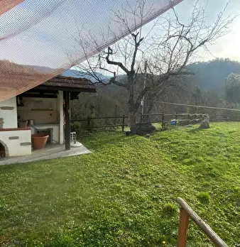 Foto annuncio 19