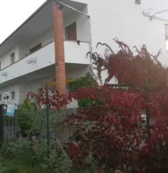 Foto annuncio 7