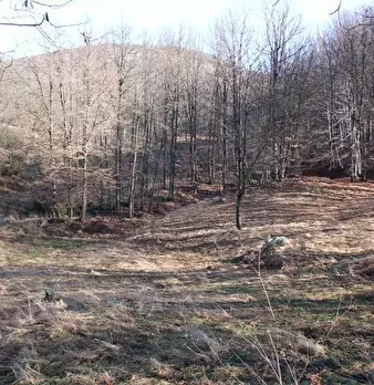 Foto annuncio 28