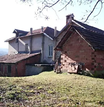 Foto annuncio 12