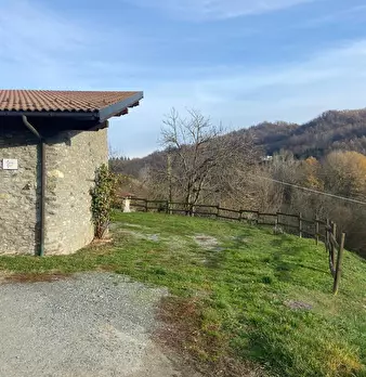 Foto annuncio 26