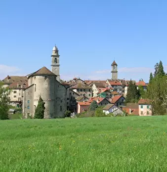 Foto annuncio 1