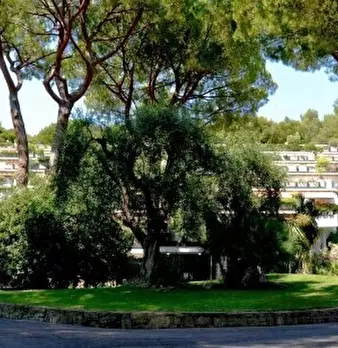 Foto annuncio 29